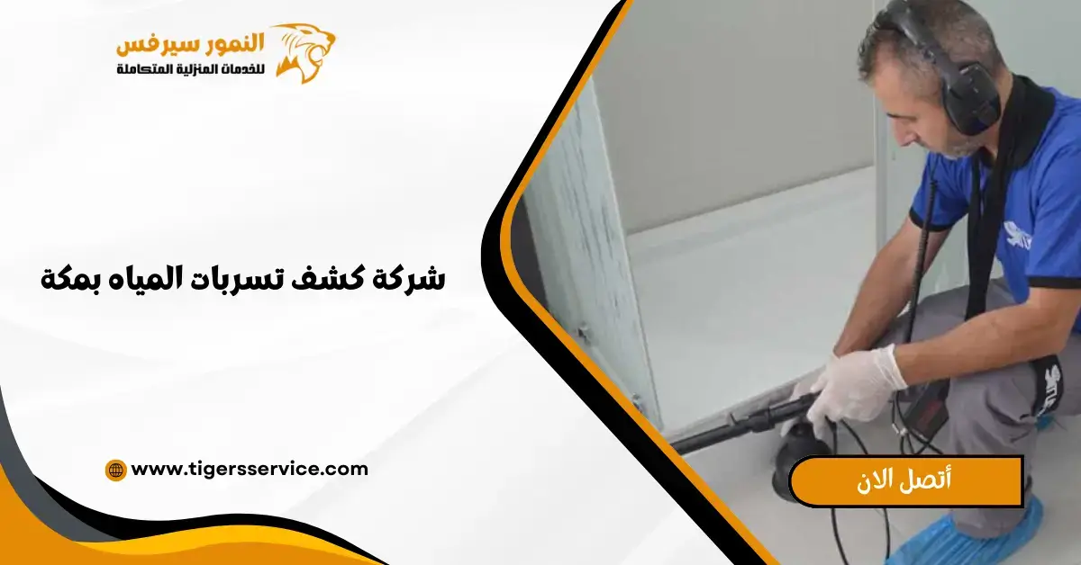 Read more about the article شركة كشف تسربات المياه بمكة